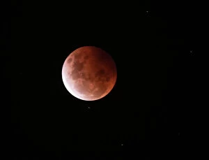 Images Dated 27th May 2021: Blood red moon, Victoria, Australia