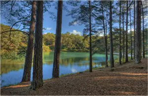 Images Dated 4th October 2012: Blue Lake in Dorest, England