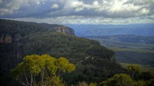 Images Dated 27th August 2014: Blue Mountains temperate rain forest National Park