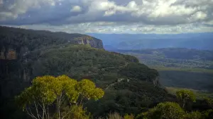 Blue Mountains temperate rain forest National Park