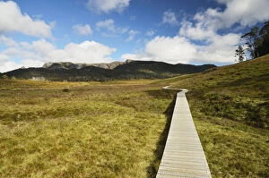 Images Dated 10th May 2014: Boardwalk at Cradle Mountain