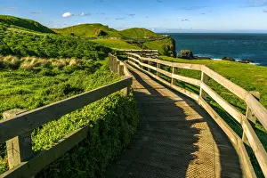 Victoria London Prints: Boardwalk at Point Grant, Phillip Island, Victoria