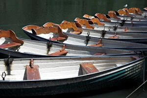 Barbara Fischer Collection: Boats