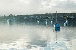 Images Dated 12th August 2017: Boats moored at Coffin Bay. South Australia
