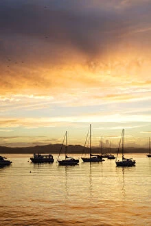 Images Dated 6th January 2011: Boats and yachts moored at sunset in Russell, Bay of Islands, Northland, New Zealand