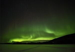 Aurora Borealis Collection: the Borealis appearing over the Aurora camp in south east Lapland, Sweden