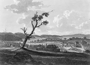 Botany Prints: Botany Bay