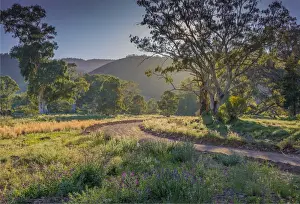 Ravine Prints: Brachina gorge at dawn, southern region of the Flinders Ranges National Park