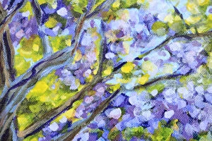 Art Collection: Branches and Flowers of a Jacaranda Tree
