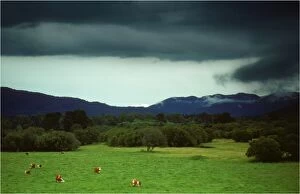 Images Dated 28th July 2013: Brewing Storm, Healsville countryside, Victoria, Australia