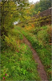 Images Dated 1st October 2011: Bridle pathway near the historic stone bridge over the river Tweed at Kelso, the border area