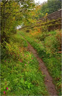 Images Dated 1st October 2011: Bridle pathway near the historic stone bridge over the river Tweed at Kelso