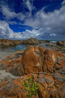 British Admiral beach