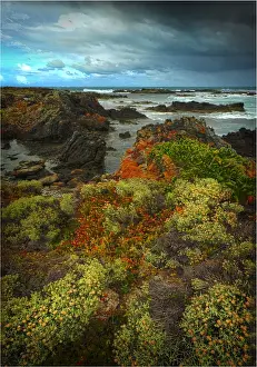 British Admiral rocky coastline