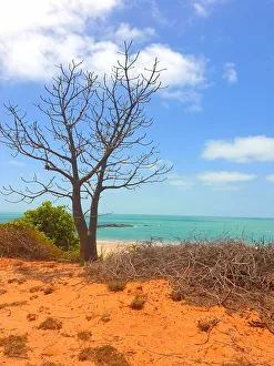 Broome Scene