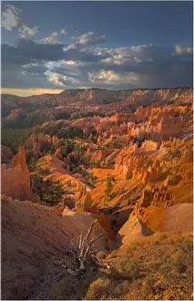 Images Dated 26th October 2011: Bryce Canyon National Park, Utah, south west United States