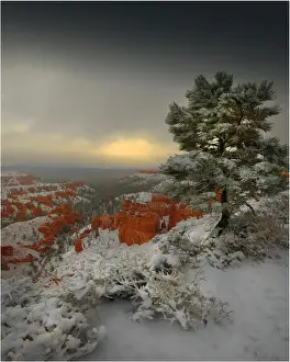 Images Dated 27th October 2011: Bryce Canyon National park with a winter covering of snow, Utah, south west United States
