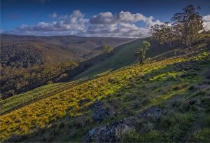 Images Dated 31st July 2016: Bullengarook countryside, Macedon Ranges, Victoria, Australia