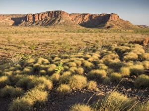 Images Dated 27th September 2019: Bungle Bungle Range seen from Kungkalahayi Lookout, Purnululu National Park, Kimberley