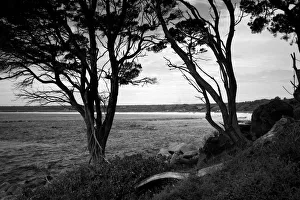 Bunker Bay Beach