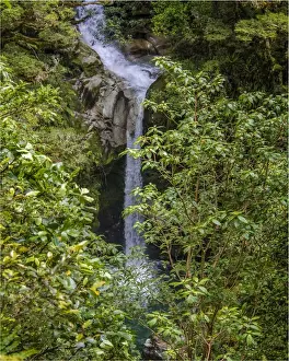 Flowing Water Prints: The Burn