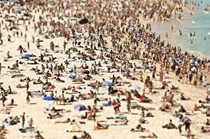 Bondi Beach Collection: Busy Bondi