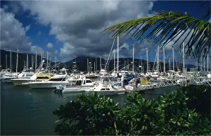 Cairns Prints: Cairns Harbour, north Queensland, Australia