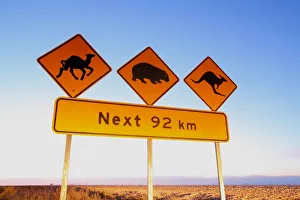 Camel wombat and kangaroo sign. Australia Camel wombat and kangaroo sign. Australia