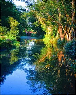 Canal view near Ifold, Sussex, England