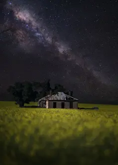Canola Prints: Canola crop farm house shed milky way stars night