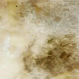 Beige Prints: Canvas
