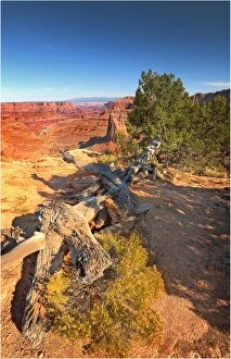 Images Dated 29th October 2011: Canyonlands National park in Utah, south west United States
