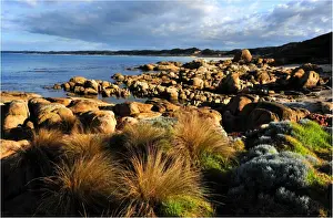 Images Dated 2009 July: Cape Conran, Croajigalong National park East Gippsland, Victoria
