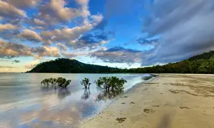 Cape Tribulation Australia