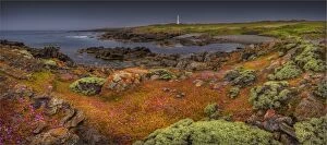 Images Dated 30th November 2014: Cape Wickham panorama