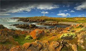 Cape Wickham Panorama
