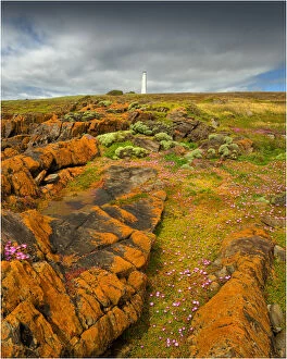 Images Dated 27th November 2011: Cape Wickham in the Spring