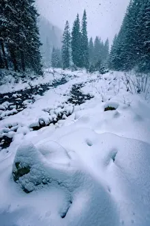 Carpathian Mountains