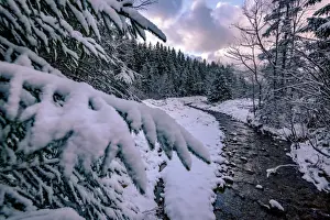 Frozen Prints: Carpathian Mountains