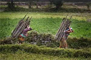 Carrying a heavy load in rural Kathmandu valley, Nepal