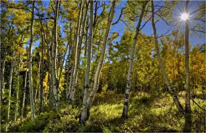 Castle creek, Colorado, south western United States of America