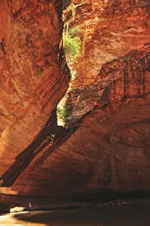 Canyon Prints: Cathedral Gorge, Bungle Bungle Range in Purnululu National Park