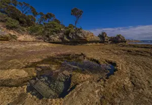 Cave beach in Port Davies at low tide, Flinders Island, Bass Strait, Tasmania, Australia