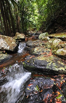 Southern lightscapes australia/cedar creek mount tamborine queensland Southern lightscapes australia/cedar creek mount tamborine queensland