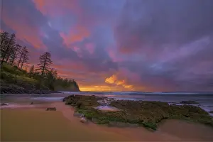 Images Dated 8th August 2014: Cemetery Bay Dawn