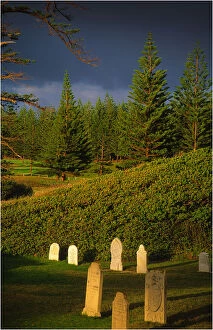 Images Dated 4th November 2012: Cemetery Dawn