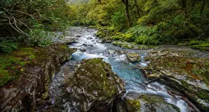 South Island Prints: The Chasm in Fiordland National Park and Milford Sound Area in the Fiordland Region