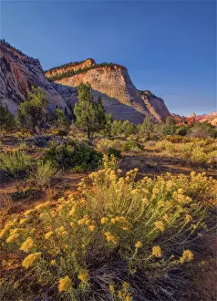 Chequerboard Mesa Zion national Park in south western United States