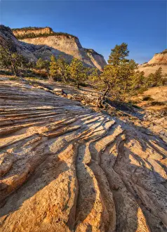 Chequerboard Mesa Zion national Park in south western United States