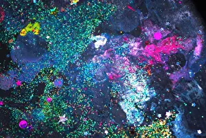 Art And Craft Prints: Childs universe